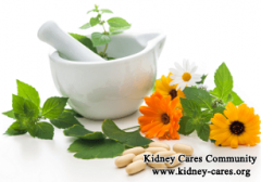 What Are Natural Treatments for CKD Besides Conventional Therapy