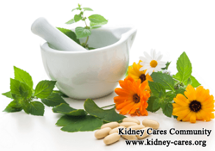 Natural Treatments for CKD Besides Conventional Therapy