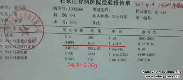 Toxin-Removing Treatment Reduces 24h Urine Protein 6.26g to 0.05g