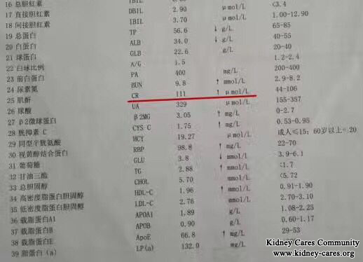 Kidney Failure Patients Avoid Dialysis Successfully