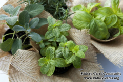 What Herbs Stop Dialysis