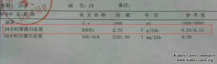 Toxin-Removing Treatment Eliminate Relapse of IgA Nephropathy