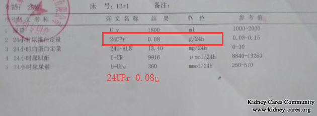 Toxin-Removing Treatment Control Lupus Nephritis